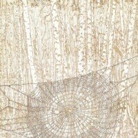 Juan C.Tedesco, junio 2025 - Barniz blando, gofrado - Papel 30 X 40 cm - Plancha 20,5 x 30 cm. Edición de 15 ejemplares Grabado de una telaraña con fondo de árboles, realizado con barniz blando y gofrado