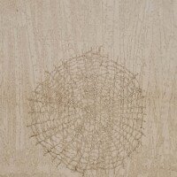 Juan C. Tedesco, mars 2025 - Vernis mou et gaufrage - Papier 30 x 40 cm - Plaque 20 x 25 cm. Édition à 18 exemplaires Gravure d'une toile d'araignée sur fond d'arbres, réalisée à le vernis mou et gaufrage